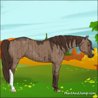 Horse Color:Liver Red Dun Brindle 