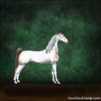 Horse Color:Brown Snowdrop Dun Tobiano Frame Near Leopard Brindle 