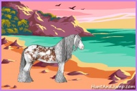 Horse Color:Bay Sabino Splash 