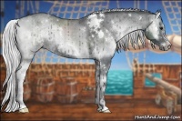 Horse Color:White Spotted Silver Blue Onyx Chinchilla Ice Sabino 
