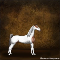 Horse Color:Brown Tobiano Frame 
