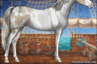 Horse Color:White Spotted Liver Chestnut Ice Pearl Sabino