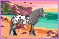 Horse Color:Brown Sabino Blanket 