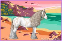 Horse Color:Perlino Splash Leopard 