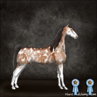 Horse Color:Bay Dun Sabino Appaloosa