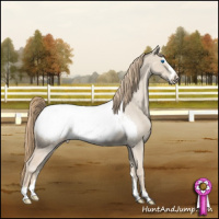 Horse Color:Smoky Creme Dun Frame Near Fewspot Brindle 