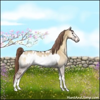 Horse Color:Chocolate Palomino Onyx Frame Appaloosa