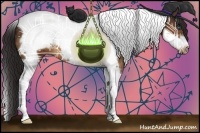 Horse Color:Buckskin Tobiano Frame 