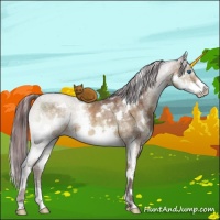 Horse Color:White Spotted Chocolate Buckskin Ice Dun Sabino Splash Brindle