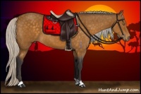 Horse Color:Silver Buckskin 