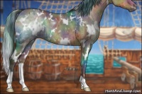 Horse Color:Nacre White Spotted Brown Dun 