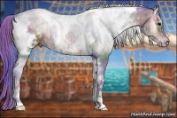 Horse Color:Nacre Watercolor White Spotted Brown Onyx 
