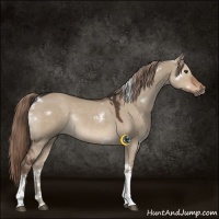 Horse Color:White Spotted Liver Red Dun Tobiano Rabicano