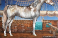 Horse Color:White Spotted Liver Red Onyx Rabicano 
