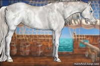 Horse Color:White Spotted Liver Red Dun Ice Pearl Splash Rabicano