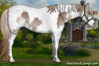 Horse Color:Liver Chestnut Ice Sabino Splash Tobiano Rabicano 