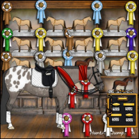 Horse Color:Grullo Appaloosa Brindle 