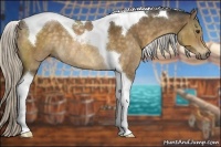 Horse Color:Silver Buckskin Tobiano Rabicano 