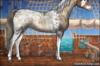 Horse Color:Liver Red Onyx Ice Tobiano Rabicano