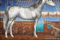 Horse Color:White Spotted Chocolate Palomino Ice Dun Rabicano Brindle