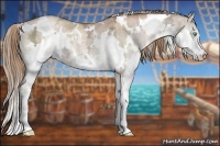 Horse Color:White Spotted Liver Chestnut Ice Pearl Splash 