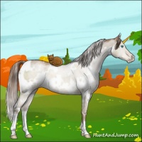 Horse Color:White Spotted Brown Pearl Dun Mushroom 