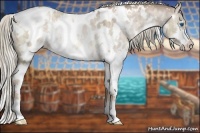 Horse Color:White Spotted Liver Red Dun Pearl Splash Appaloosa Rabicano