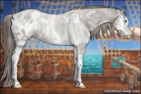 Horse Color:White Spotted Liver Chestnut Sabino Splash Appaloosa Rabicano 