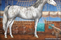 Horse Color:White Spotted Liver Chestnut Ice Pearl Splash Appaloosa 