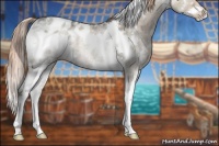 Horse Color:White Spotted Liver Red Dun Ice Sabino Splash Blanket Rabicano 