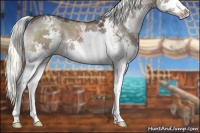 Horse Color:White Spotted Liver Red Dun Sabino Splash