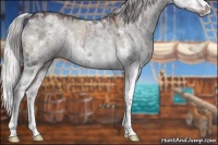 Horse Color:White Spotted Chocolate Silver Grullo Chinchilla Ice Splash