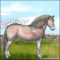 Horse Color:Plaid Chocolate Palomino Roan Onyx Sabino