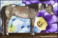 Horse Color:White Spotted Liver Red Dun Roan