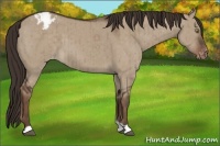 Horse Color:Liver Red Dun Varnish Brindle 