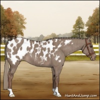 Horse Color:Liver Red Dun Mushroom Blanket Brindle 