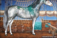 Horse Color:Painted White Spotted Brown Onyx Sabino Splash 