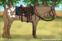 Horse Color:Liver Red Dun Blanket Brindle 