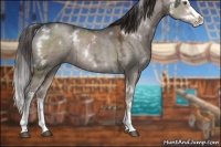 Horse Color:White Spotted Liver Red Dun Ice Splash Rabicano 