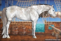 Horse Color:White Spotted Liver Red Dun Ice Splash Rabicano 