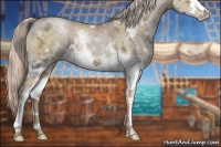Horse Color:White Spotted Chocolate Palomino Ice Pearl Splash