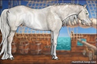 Horse Color:White Spotted Liver Red Dun Ice Pearl Sabino Splash Rabicano