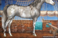 Horse Color:White Spotted Liver Red Dun Ice 
