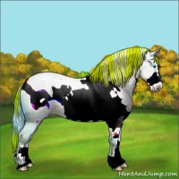 Horse Color:Watercolor White Spotted Liver Red Dun Roan Frame 