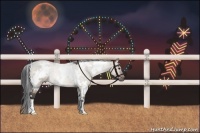 Horse Color:White Spotted Brown Roan Dun 