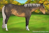 Horse Color:Silver Smoky Black Appaloosa 