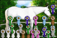 Horse Color:Smoky Black Appaloosa