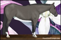Horse Color:Grullo Varnish Brindle 