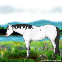 Horse Color:Brown Dun Near Fewspot Brindle 