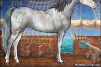 Horse Color:Watercolor Plaid  White Spotted Brown Pearl Onyx Sabino Rabicano 